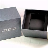 Watch Citizen Woman Of Action 2019 in Steel EM0571-83A - EM0571-83A